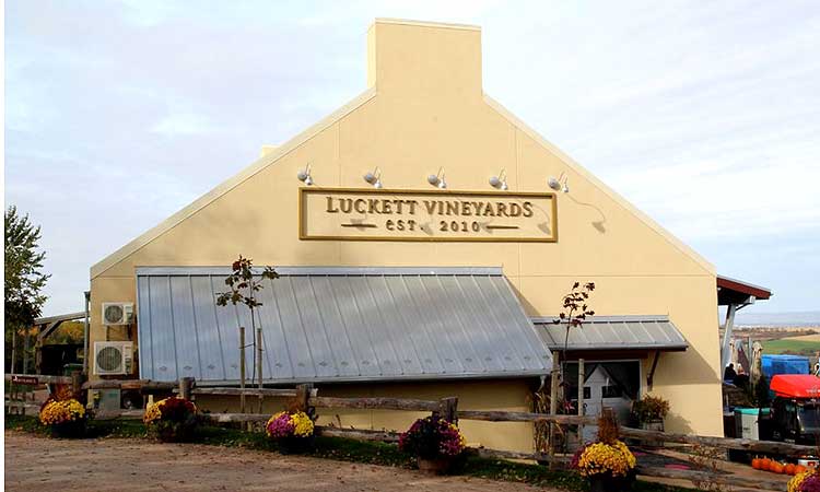 Luckett's Vineyard by Roscoe